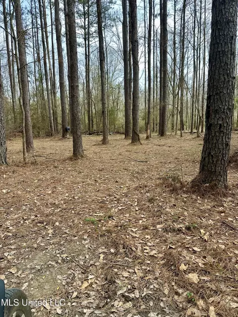 2062 2063 Lazy Creek Rd, Summit, MS 39666 photo 42