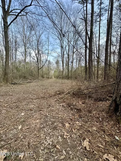 2062 2063 Lazy Creek Rd, Summit, MS 39666 photo 43
