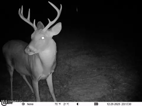 0186 Potluck Rd, Canton, MS 39046 photo 46