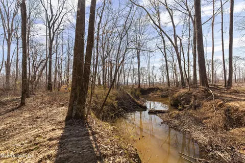 0186 Potluck Rd, Canton, MS 39046 photo 16