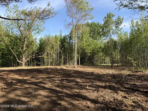 0186 Potluck Rd, Canton, MS 39046 photo 42