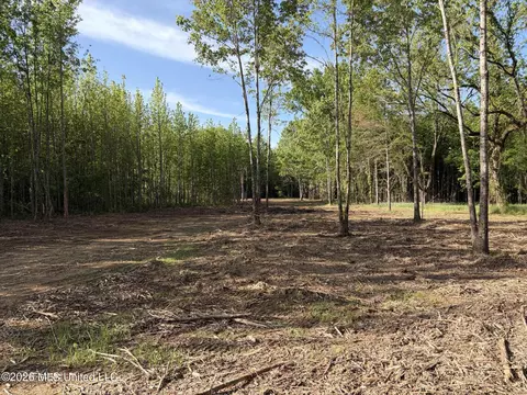 0186 Potluck Rd, Canton, MS 39046 photo 45