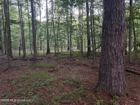 0186 Potluck Rd, Canton, MS 39046 photo 17