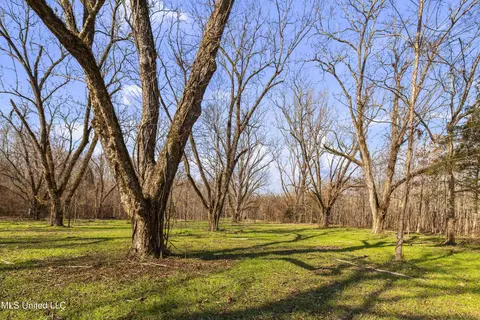 0186 Potluck Rd, Canton, MS 39046 photo 7
