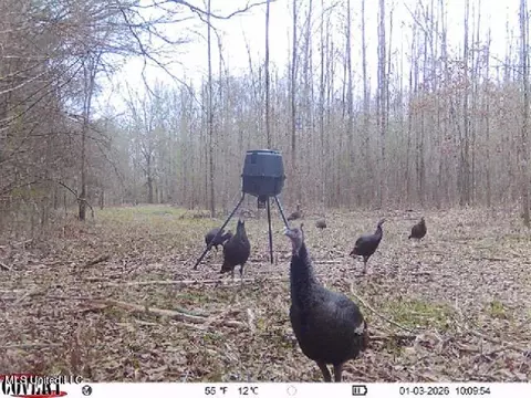 0186 Potluck Rd, Canton, MS 39046 photo 48