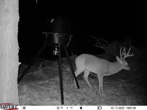 0186 Potluck Rd, Canton, MS 39046 photo 40