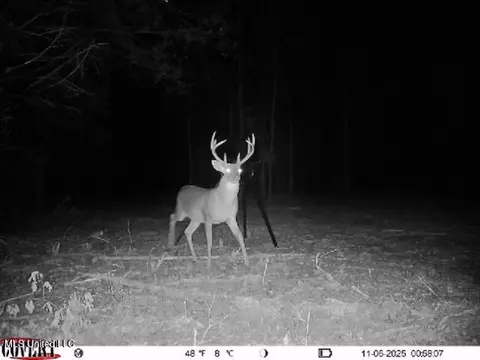 0186 Potluck Rd, Canton, MS 39046 photo 39