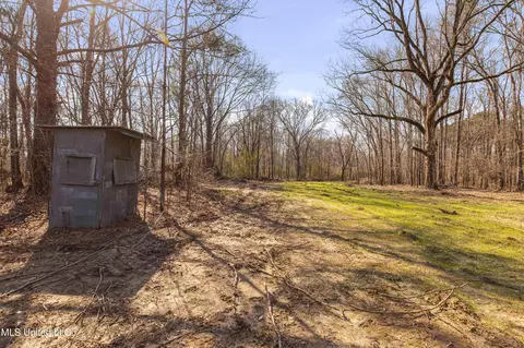 0186 Potluck Rd, Canton, MS 39046 photo 8