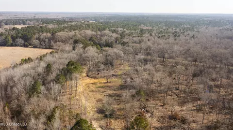0186 Potluck Rd, Canton, MS 39046 photo 31