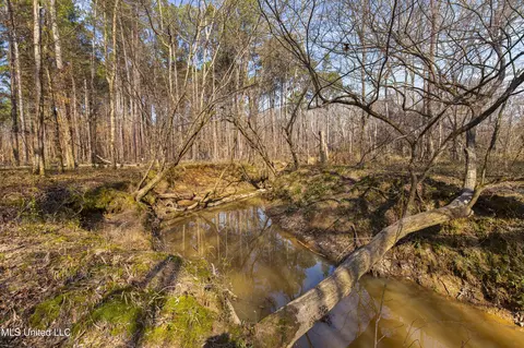 0186 Potluck Rd, Canton, MS 39046 photo 10