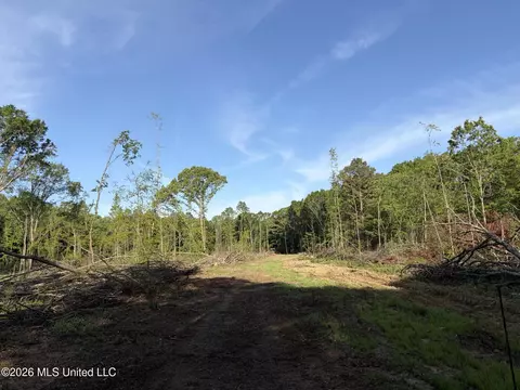 0186 Potluck Rd, Canton, MS 39046 photo 33
