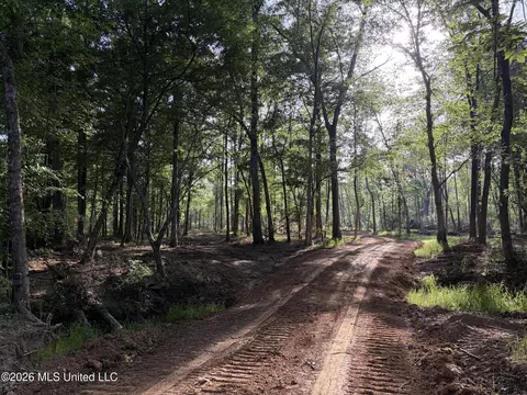 0186 Potluck Rd, Canton, MS 39046 photo 29