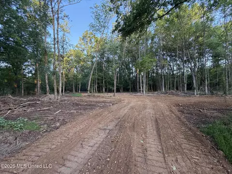 0186 Potluck Rd, Canton, MS 39046 photo 21