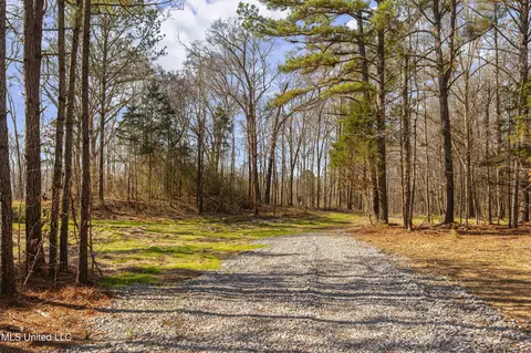 0186 Potluck Rd, Canton, MS 39046 photo 4