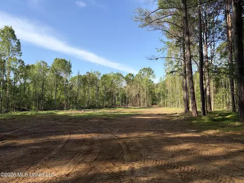0186 Potluck Rd, Canton, MS 39046 photo 5