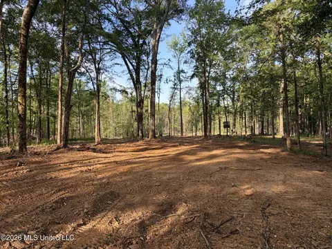 0186 Potluck Rd, Canton, MS 39046 photo 27