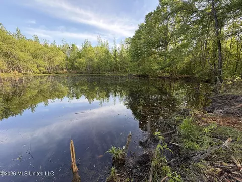 0186 Potluck Rd, Canton, MS 39046 photo 38