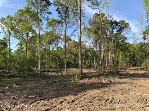 0186 Potluck Rd, Canton, MS 39046 photo 28