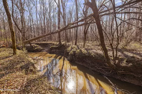 0186 Potluck Rd, Canton, MS 39046 photo 12