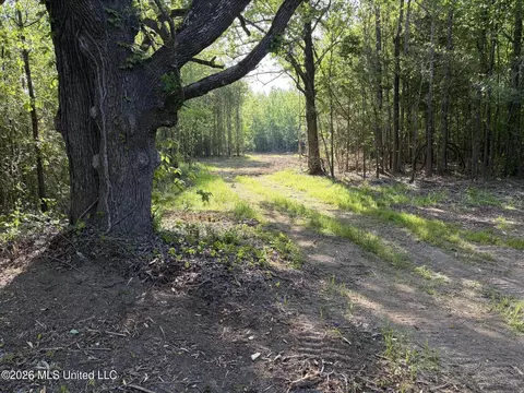 0186 Potluck Rd, Canton, MS 39046 photo 47