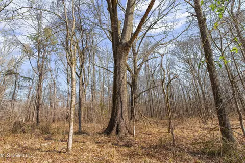0186 Potluck Rd, Canton, MS 39046 photo 13