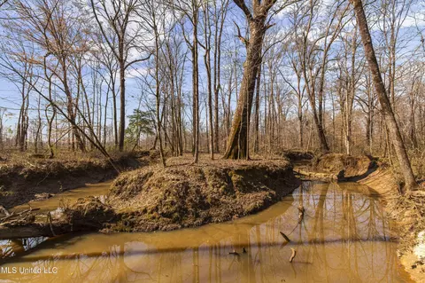 0186 Potluck Rd, Canton, MS 39046 photo 14