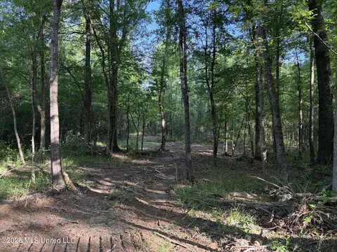 0186 Potluck Rd, Canton, MS 39046 photo 32