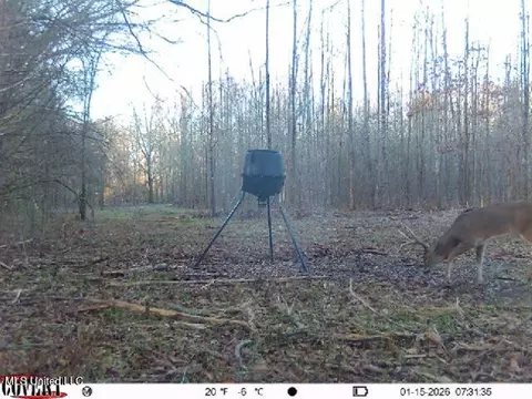 0186 Potluck Rd, Canton, MS 39046 photo 35