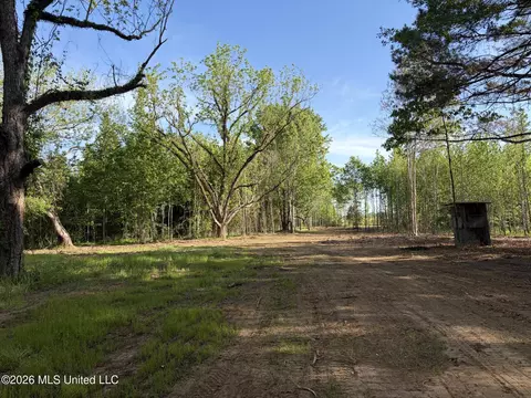 0186 Potluck Rd, Canton, MS 39046 photo 37