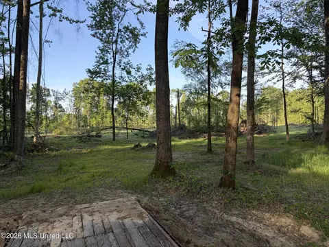 0186 Potluck Rd, Canton, MS 39046 photo 24