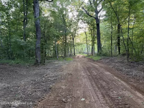 0186 Potluck Rd, Canton, MS 39046 photo 19