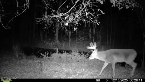 0186 Potluck Rd, Canton, MS 39046 photo 43