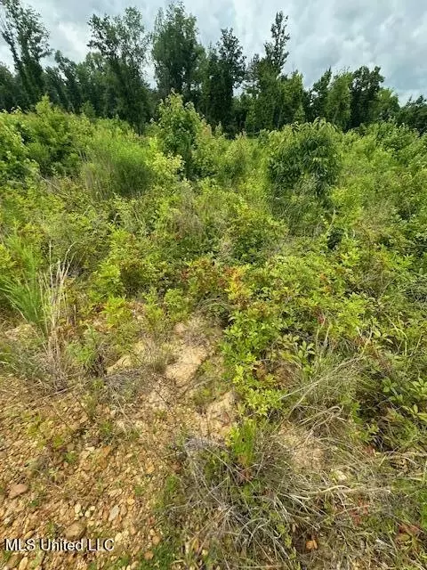 8269 Mississippi 14, Goodman, MS 39079 photo 5