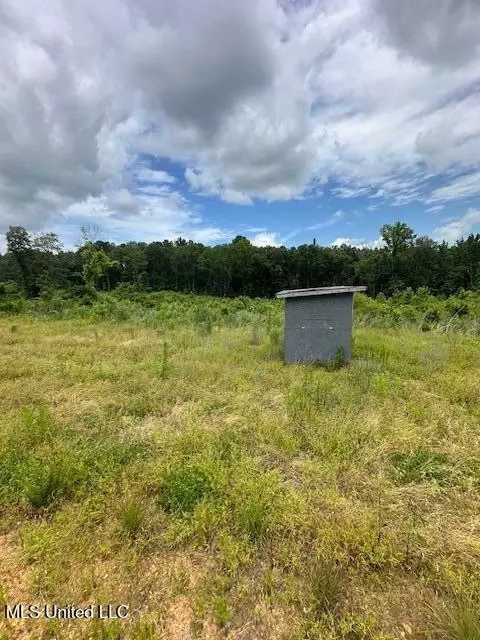 8269 Mississippi 14, Goodman, MS 39079 photo 6