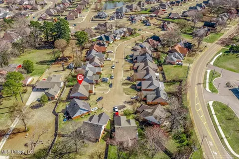 View/Area - 270 Gaslight Cv, Hernando, MS 38632 photo 3 of 3
