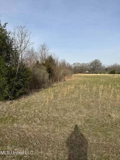 Highway 469, Florence, MS 39073