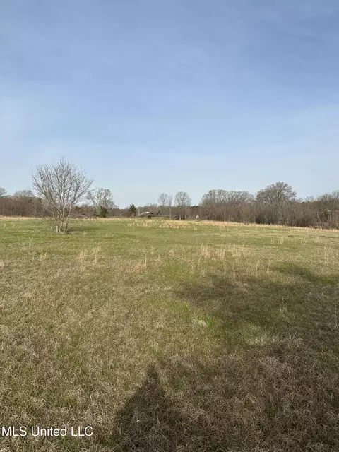 Highway 469, Florence, MS 39073