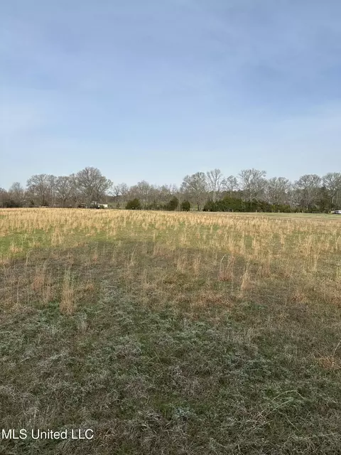 Ms-469, Florence, MS 39073