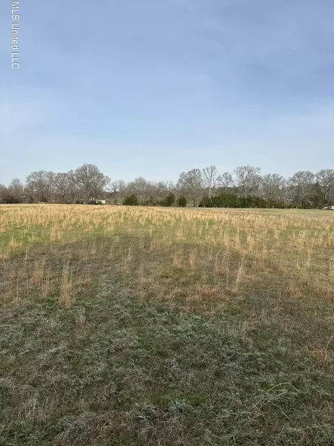 Ms-469, Florence, MS 39073