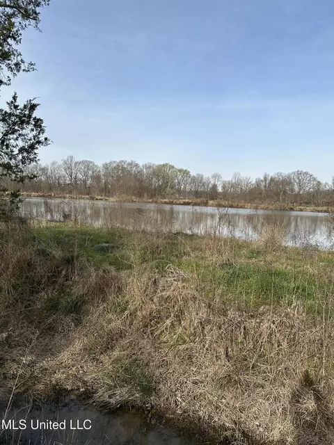 Ms-469, Florence, MS 39073 photo 2