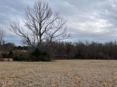 On Peyton Road, Coldwater, MS 38618 photo 3