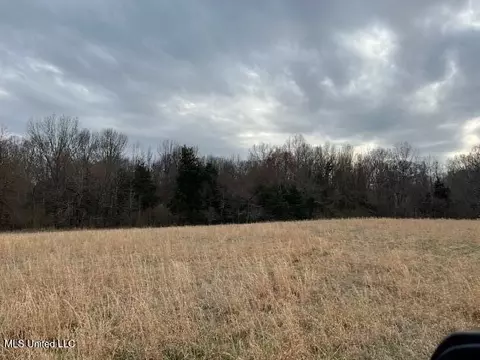 On Peyton Road, Coldwater, MS 38618 photo 2