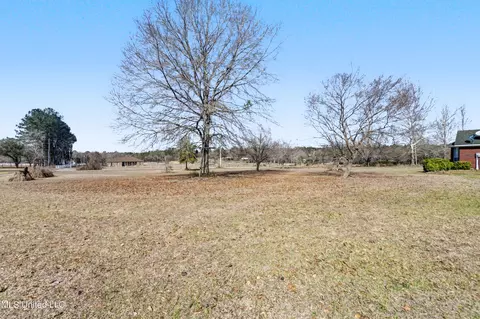 Other - 142 Lynne Ln, Lucedale, MS 39452 photo 5 of 6