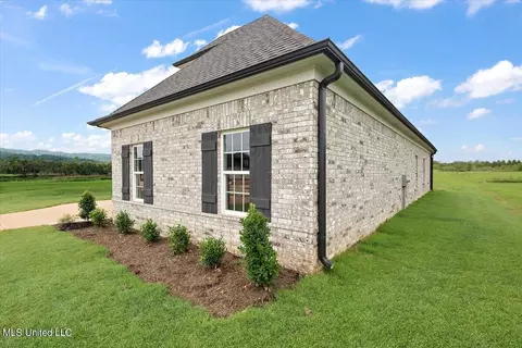 Exterior - 6510 Benjamin Cv, Walls, MS 38680 photo 3 of 6