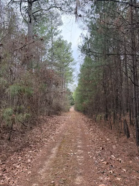 Bodka Valley Road, Scooba, MS 39358
