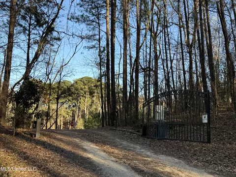 Mannsdale Bluff Trail, Madison, MS 39110 photo 8