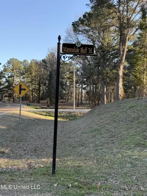 Mannsdale Bluff Trail, Madison, MS 39110 photo 4