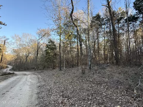 Mannsdale Bluff Trail, Madison, MS 39110 photo 6