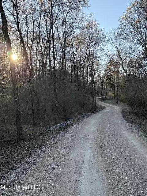 Mannsdale Bluff Trail, Madison, MS 39110 photo 5