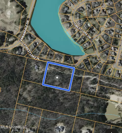 Mannsdale Bluff Trail, Madison, MS 39110 photo 3